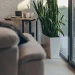 Zielona 9 Apartment *