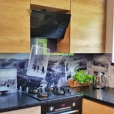 Zielona 9 Apartment Szczyrk