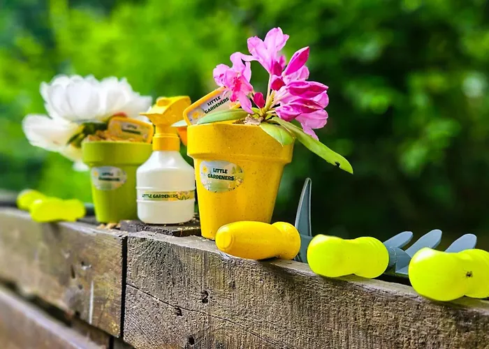 Zielona 9 שצ'צ'ירק