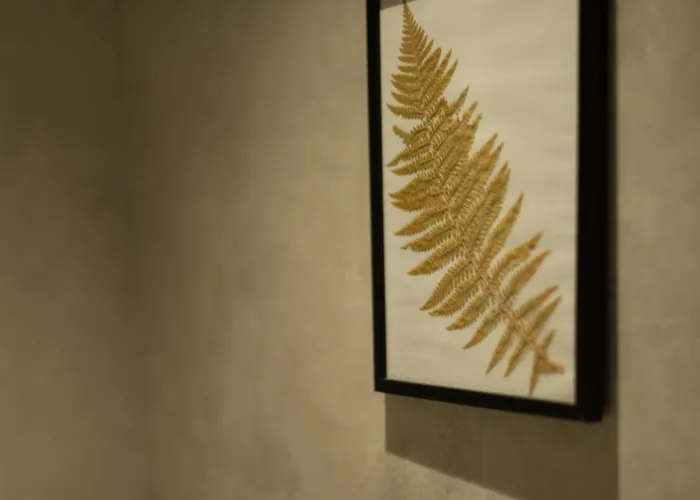 דירה Zielona 9 שצ'צ'ירק