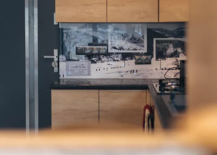 公寓 Zielona 9 什切尔克