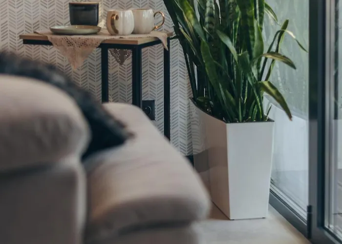 Zielona 9 דירה *