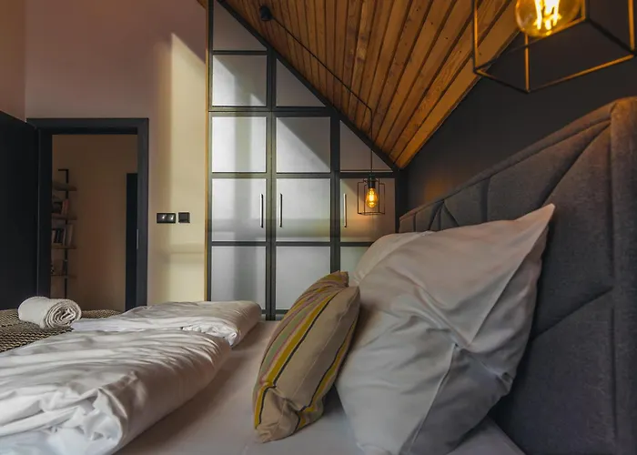 公寓 Zielona 9 什切尔克